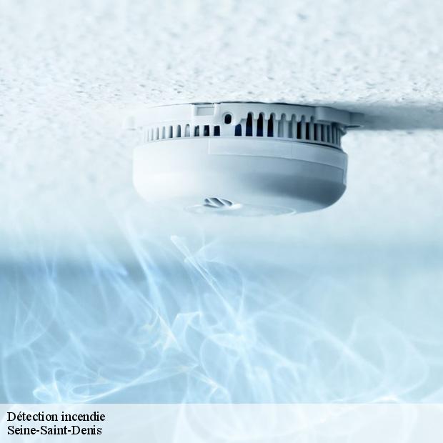 detection-incendie-93-8