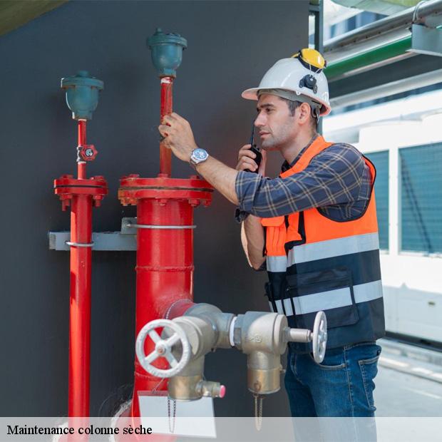 specialiste-en-maintenance-colonne-seche-bondy-93140-3