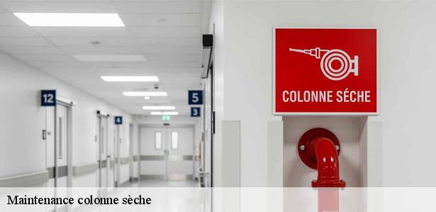 specialiste-en-maintenance-colonne-seche-neuilly-plaisance-93360-6