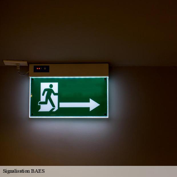 prestation-pour-signalisation-baes-coubron-93470-3