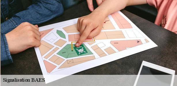 prestation-pour-signalisation-baes-coubron-93470-6