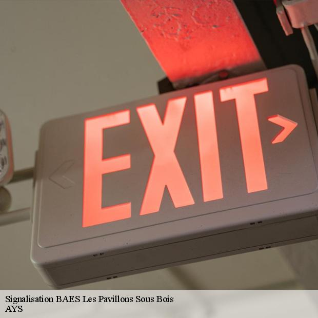 prestation-pour-signalisation-baes-les-pavillons-sous-bois-93320-4