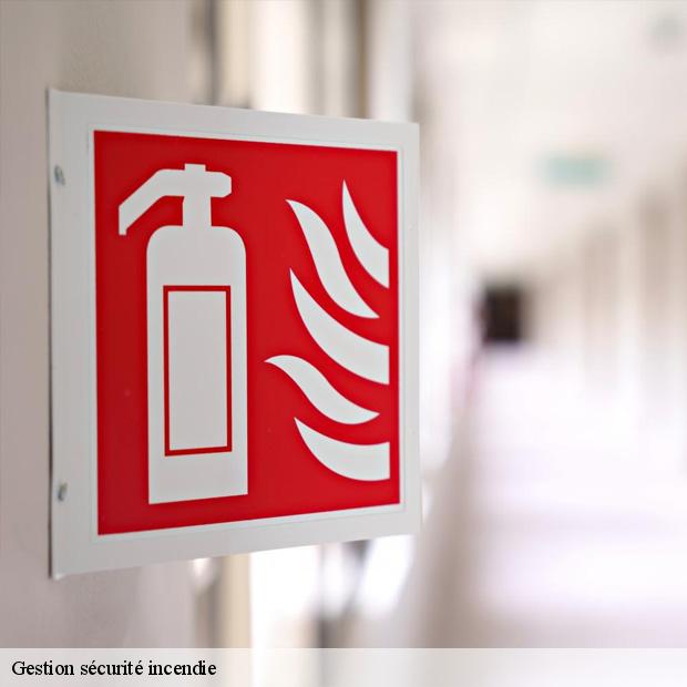 pro-de-la-gestion-securite-incendie-bobigny-93000-3