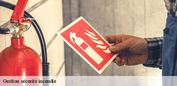 pro-de-la-gestion-securite-incendie-le-bourget-93350-6