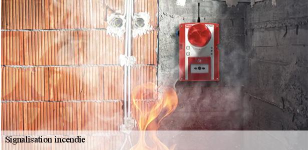 installation-signalisation-incendie-bobigny-93000-6