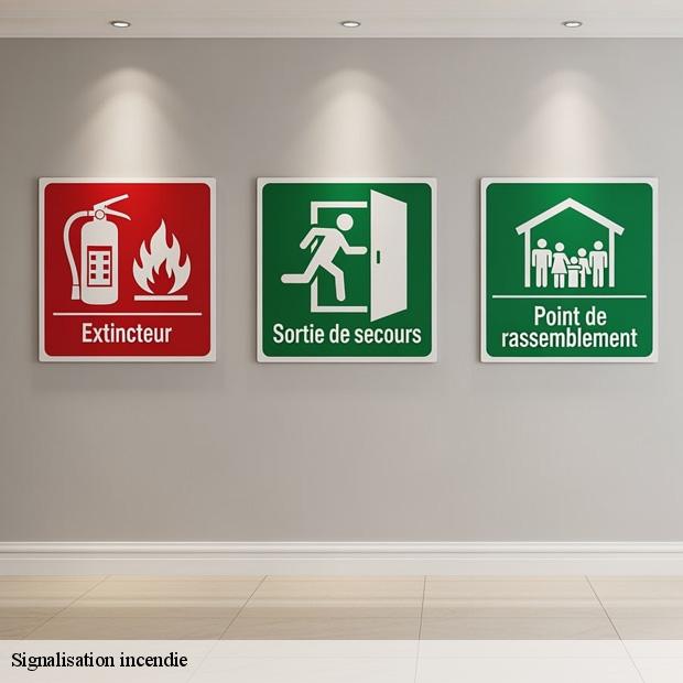 installation-signalisation-incendie-livry-gargan-93190-3