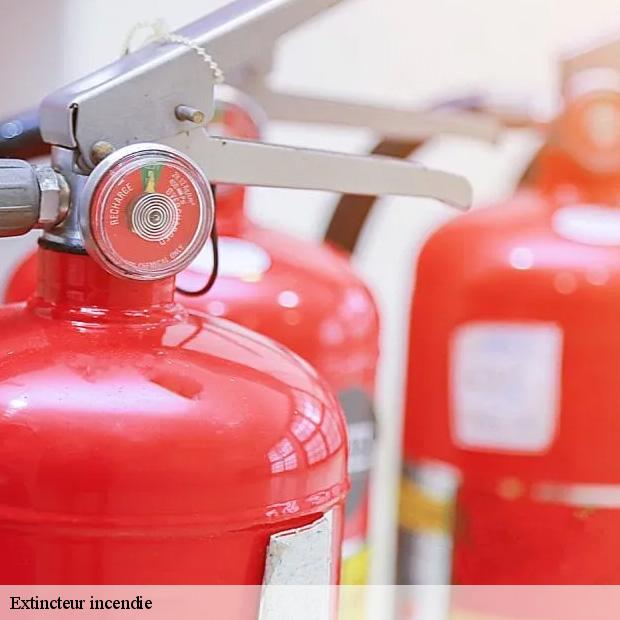 prestation-d-extincteur-incendie-coubron-93470-3